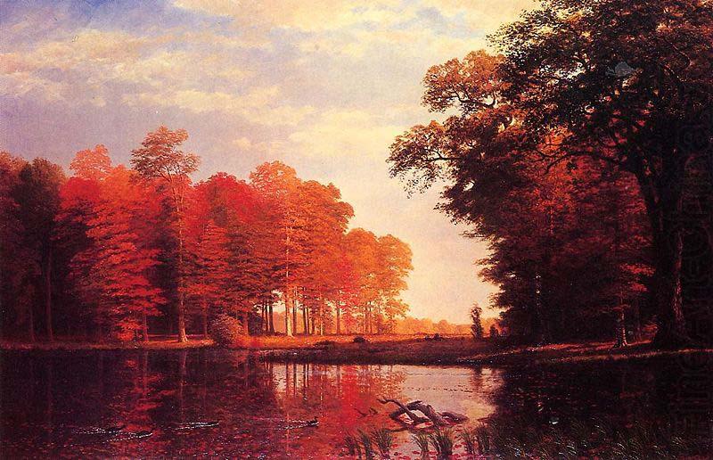 Albert Bierstadt Autumn Woods china oil painting image